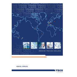 2025-voco_image