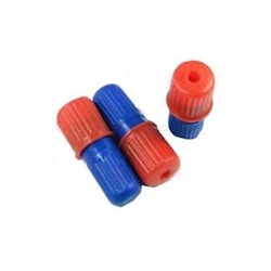 capsulesorange2
